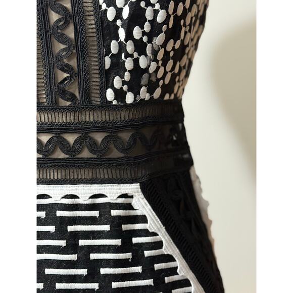 Johnathan Simkhai Embroidered Organza Mesh Midi Dress Size 2 - Picture 9 of 16